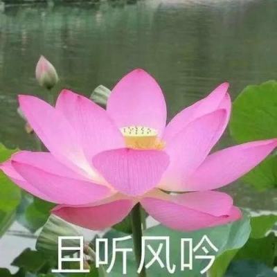 刘家峡水库加大出库流量保障春耕生产